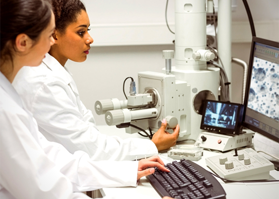 通用工作技巧培训